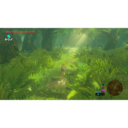 "In-game screenshot from The Legend of Zelda: Breath of the Wild – Nintendo Switch 2 Edition, depicting Link walking through a serene forest with sunlight filtering through the trees, highlighting the immersive environment."